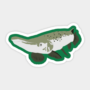 Alligator Gar Sticker